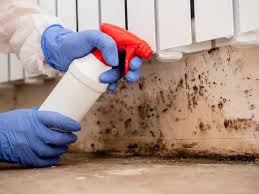 Best Mold Documentation for Insurance Claims  in Norwich, NY